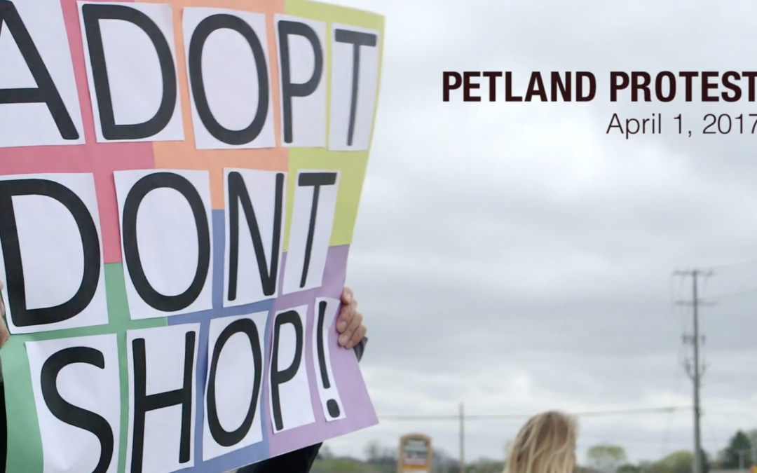 Petland Protest